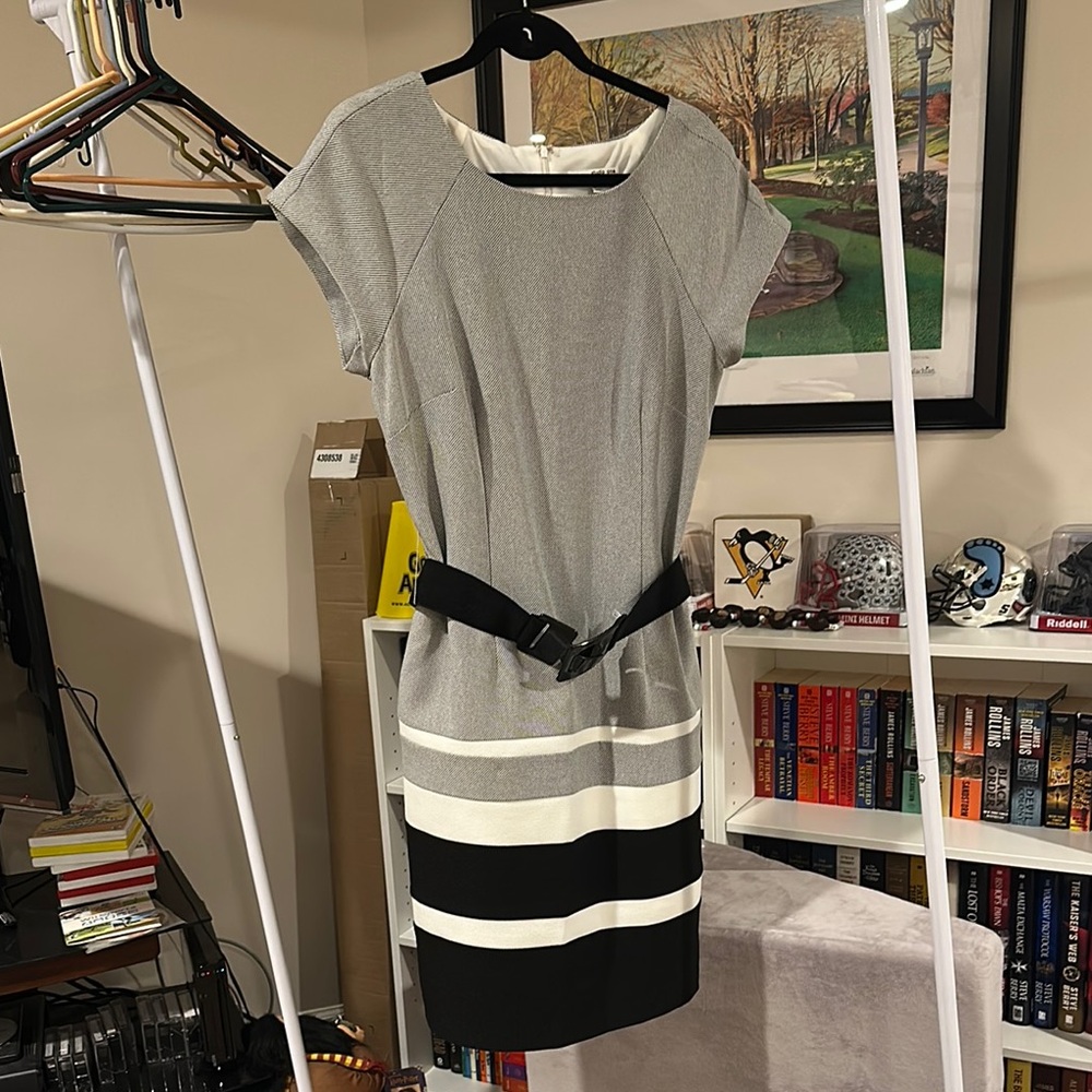 Elegant Gray and Black Belted Dress